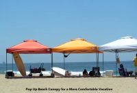 Pop Up Beach Canopy